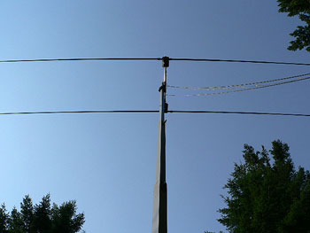 The SteppIR works great when it's pointed in the right direction!